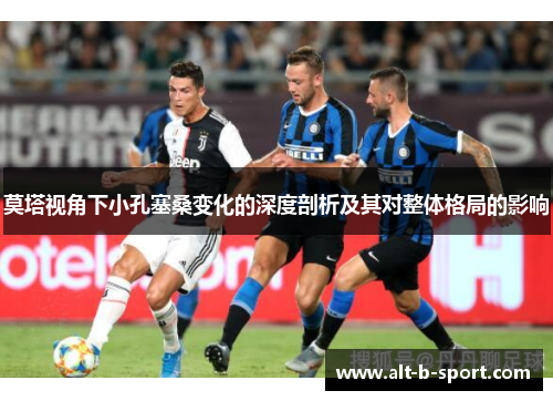 莫塔视角下小孔塞桑变化的深度剖析及其对整体格局的影响 莫塔视角下小孔塞桑变化的深度剖析及其对整体格局的影响